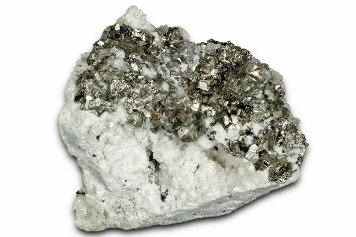 Lustrous Pyrite Crystals on Calcite Crystal Cluster - Mexico #330518